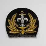 Emblemat wodniacki na czapkę złoty