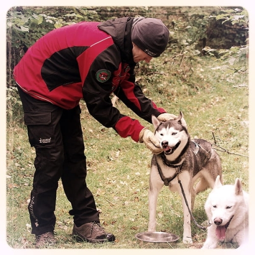 Spodnie oferowane bez dużego odblaskowego logo NorthWind na dole nogawki.