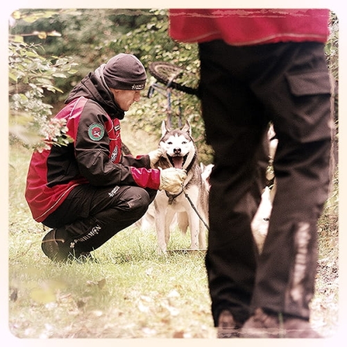 Spodnie oferowane bez dużego odblaskowego logo NorthWind na dole nogawki.