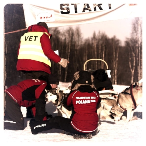 Szwecja, Polardistans - Wyścigi długodystansowe Psich Zaprzęgów 160km Spodnie oferowane bez dużego odblaskowego logo NorthWind na dole nogawki.